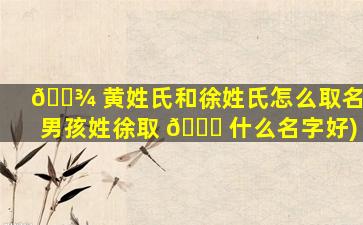 🌾 黄姓氏和徐姓氏怎么取名(男孩姓徐取 🍀 什么名字好)